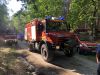Brand Wald