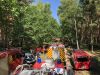 Brand Wald