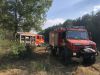 Brand Wald