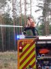 Brand Wald