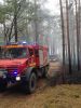 Brand Wald