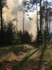 Brand Wald
