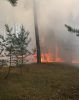 Brand Wald