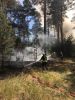 Brand Wald